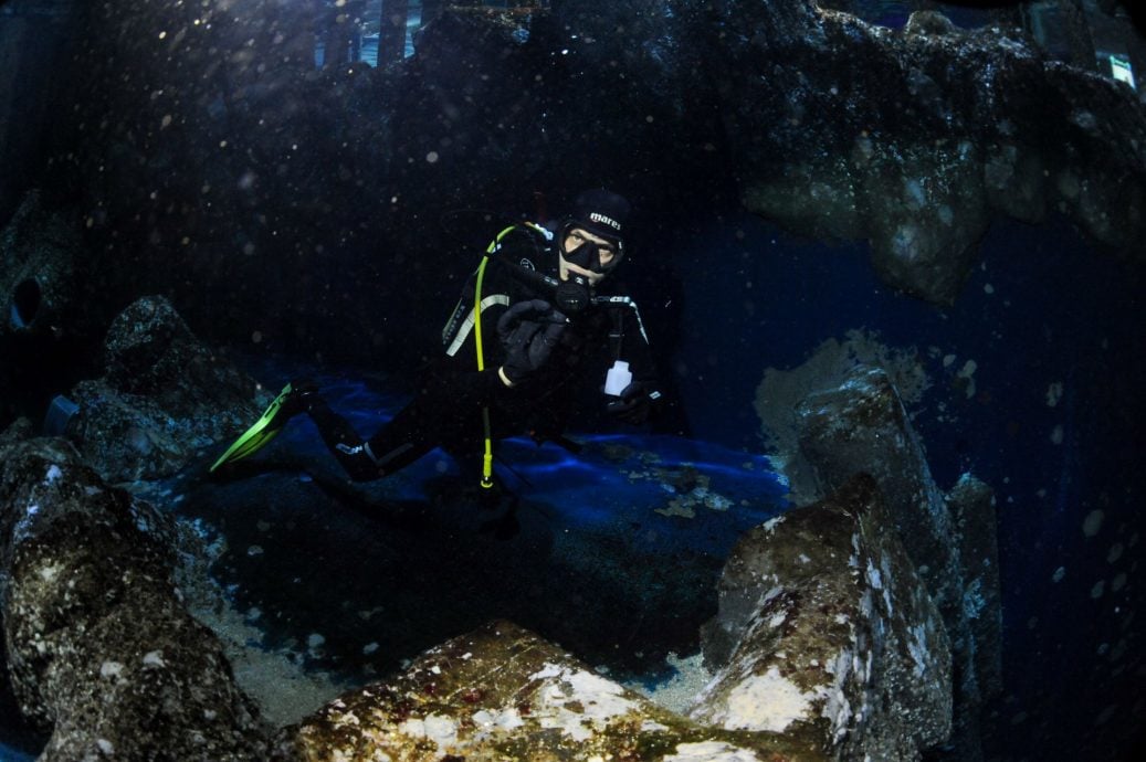 海洋霸主牙齿恐掉光? 专家:海水酸化造成腐蚀