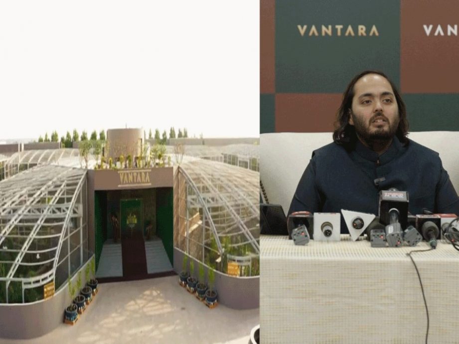 涉非法进口动物和洗钱 亚洲首富之子的大型动物园被查