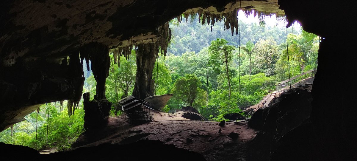 焦点（6/8）（一）：尼亚洞的动物史─骨头故事