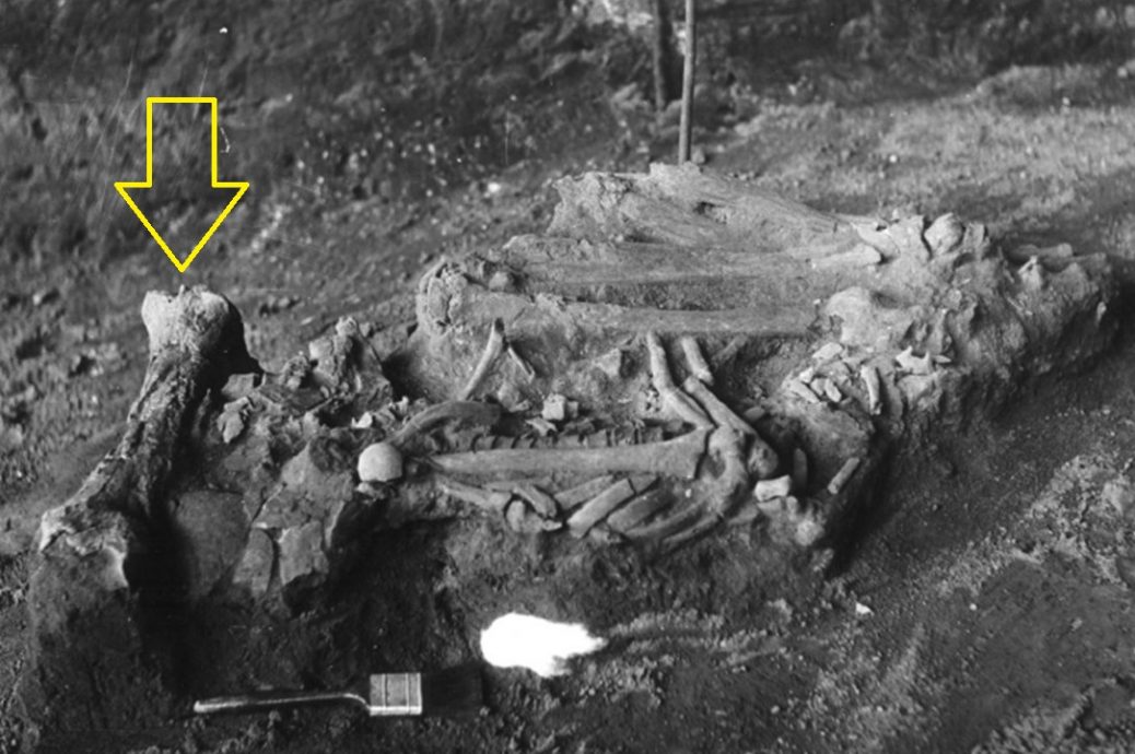 焦点(6/8)(二):尼亚洞的动物史─埋葬文化