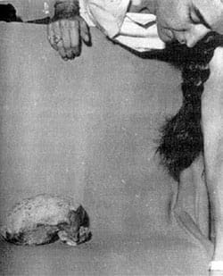 焦点(6/8)(二):尼亚洞的动物史─埋葬文化