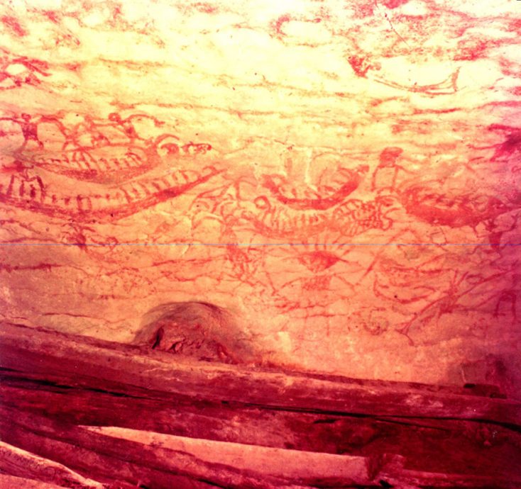 焦点(6/8)(二):尼亚洞的动物史─埋葬文化