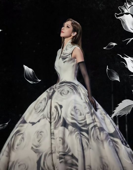 现场演出《蔷薇》掀回忆杀　萧亚轩复出唱哭铁粉