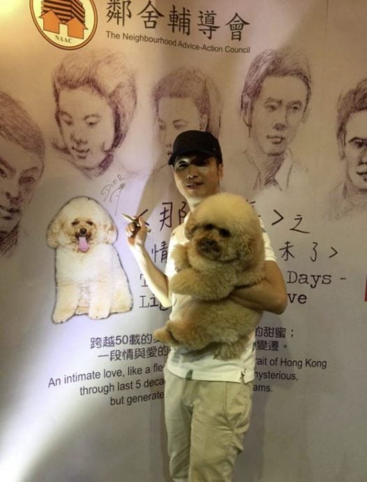 用心照顾也可以健康到老，Dior女19年狗生多姿多彩