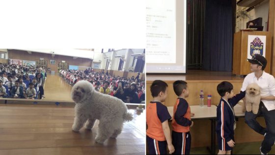 用心照顾也可以健康到老，Dior女19年狗生多姿多彩