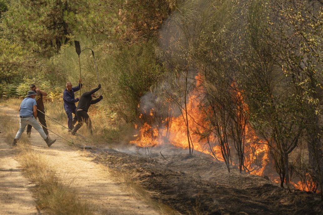 看世界 西班牙20起重大野火肆虐　政府再派500军人扑救