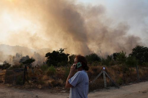 看世界两图)欧洲林火今年已焚毁逾100万公顷山林 创历史新高