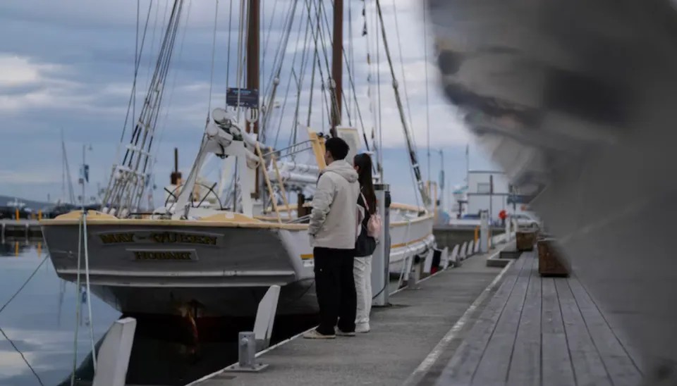 看世界/中国游客夫妇塔斯曼尼亚街头无辜遇袭 两青少年被捕