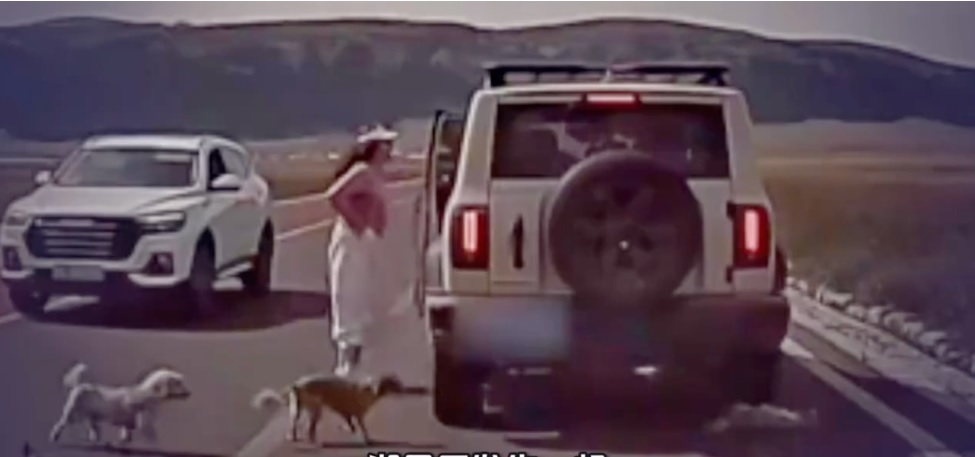 **看世界(只供网)**未拴绳宠物狗突冲车道被辗毙 狗主挥拳打司机引热议