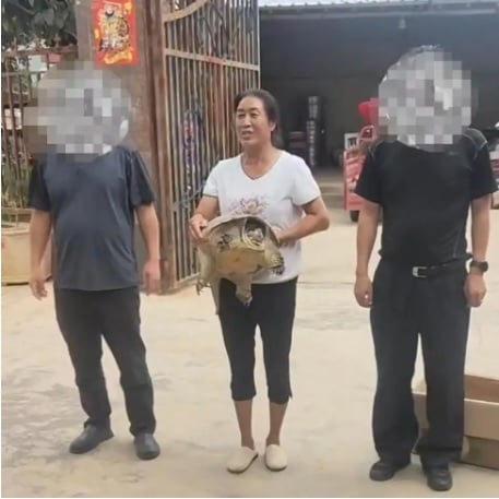 **看世界（只供网）**鳄龟爬出池被抱走主人祈归还  “希望善待别下肚” 