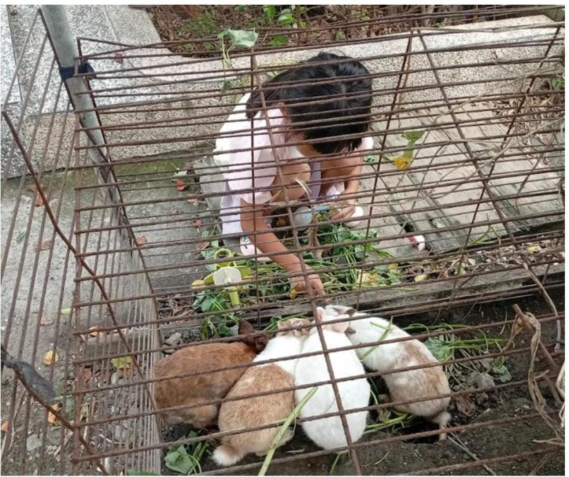 礼仪师发现女童尸首不全　 妈妈心碎促检察官交代真相