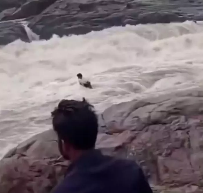 站瀑布岩石上拍照遇开闸泄洪 印度YouTuber遭急流冲走下落不明