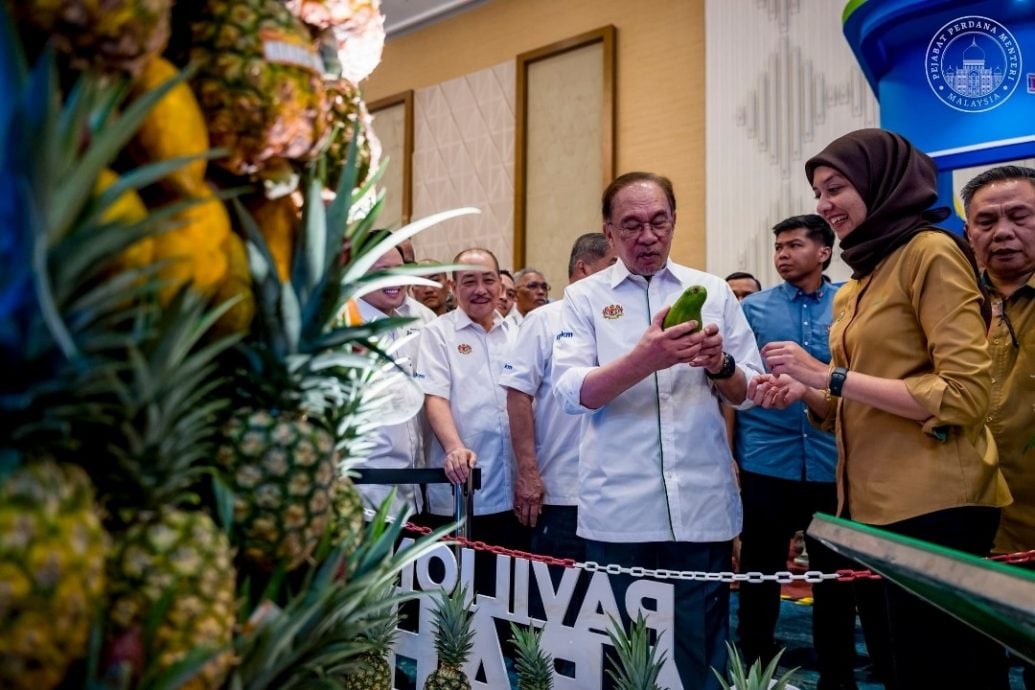 续以农民、牧民和渔民为先 安华:他们是国家粮安支柱