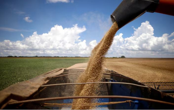 美国大豆协会致函特朗普:无法承受对华贸易战 农户濒临财务崩溃