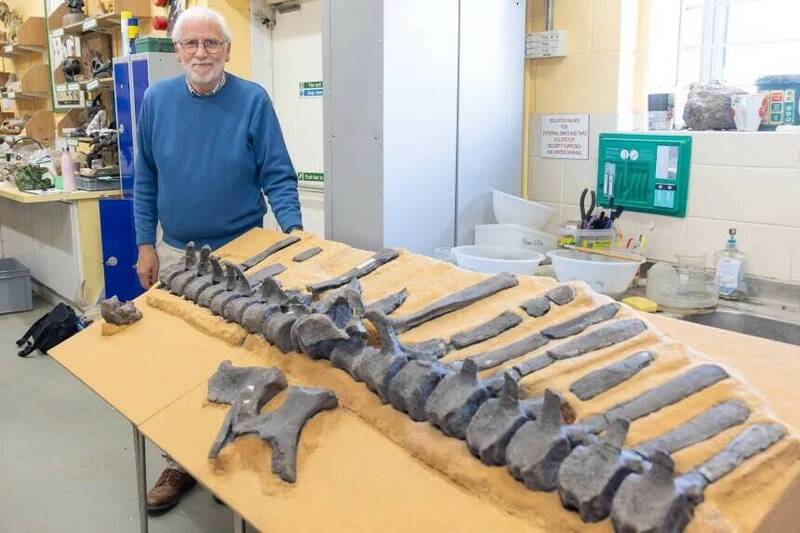 英发现帆背恐龙! 巨型背鳍非恒温竟是“求偶神器”