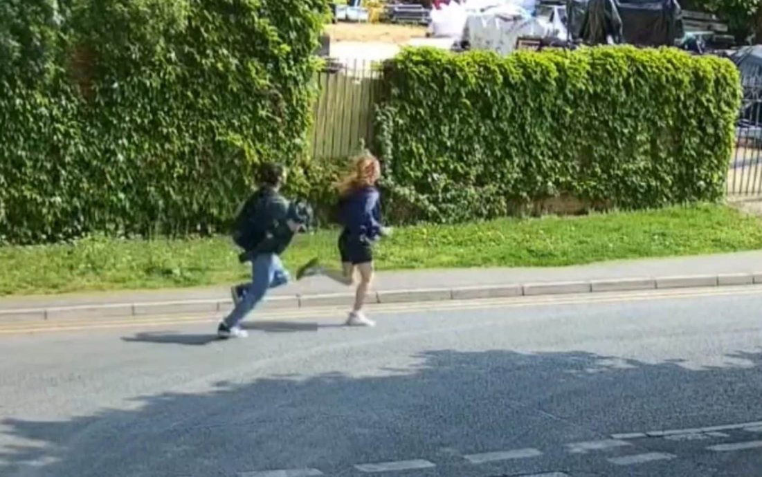 英国两青少年虐杀小猫罪成  判囚1年及9个月