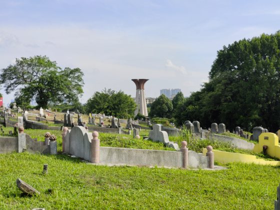 莫家浩/痛觉残留