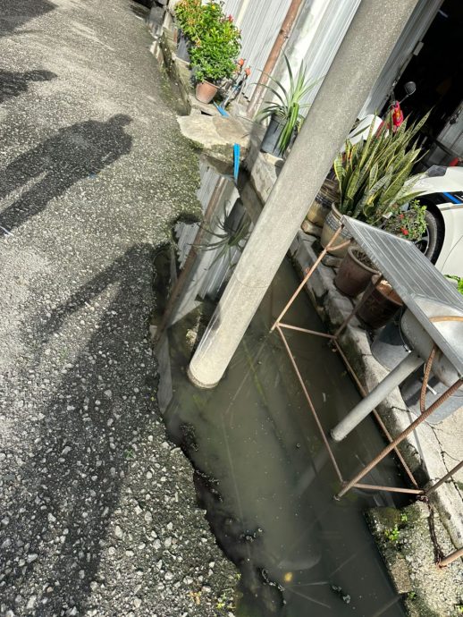 西华尼申：美罗大街沟塞引水患蚊虫 申请拨款改善排水系统