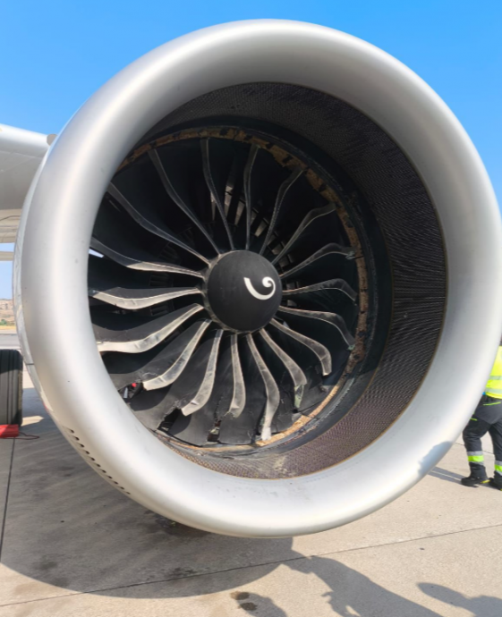 西班牙客机遭鸟击紧急返降 骇人照片曝光!