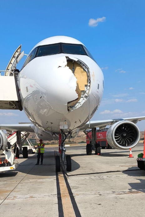 西班牙客机遭鸟击紧急返降 骇人照片曝光!