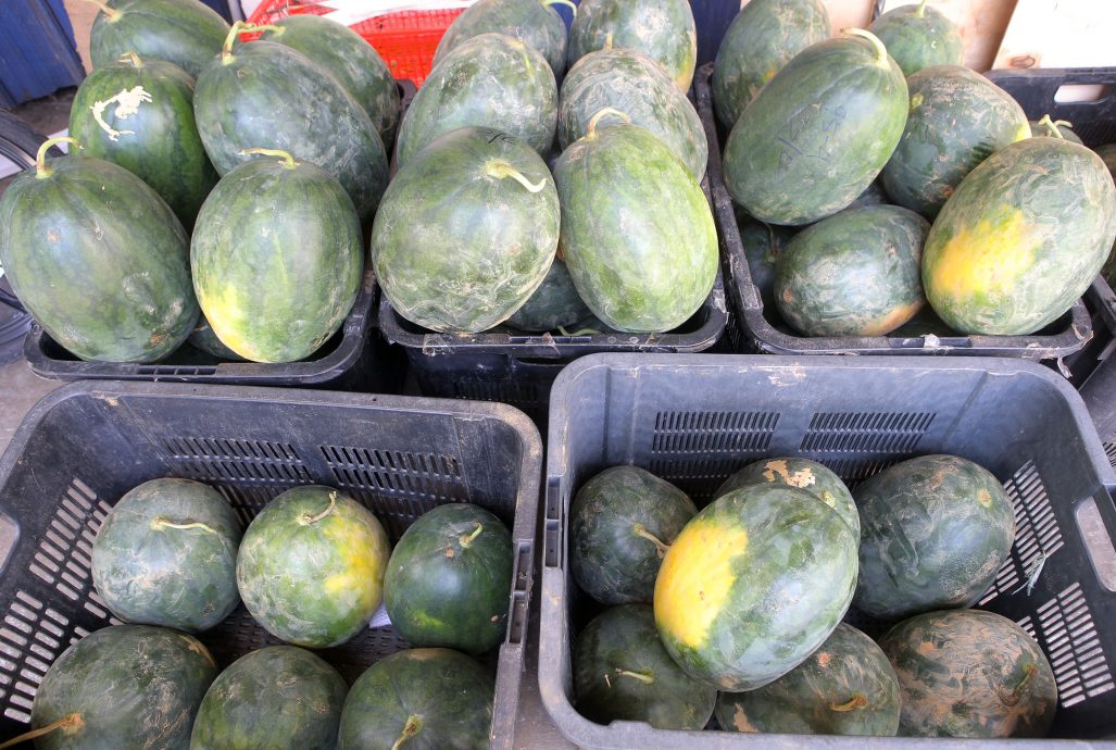 西瓜蜜瓜丰收跌价 菜市持续低迷