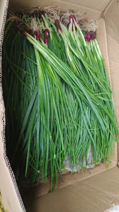 西瓜蜜瓜丰收跌价 菜市持续低迷