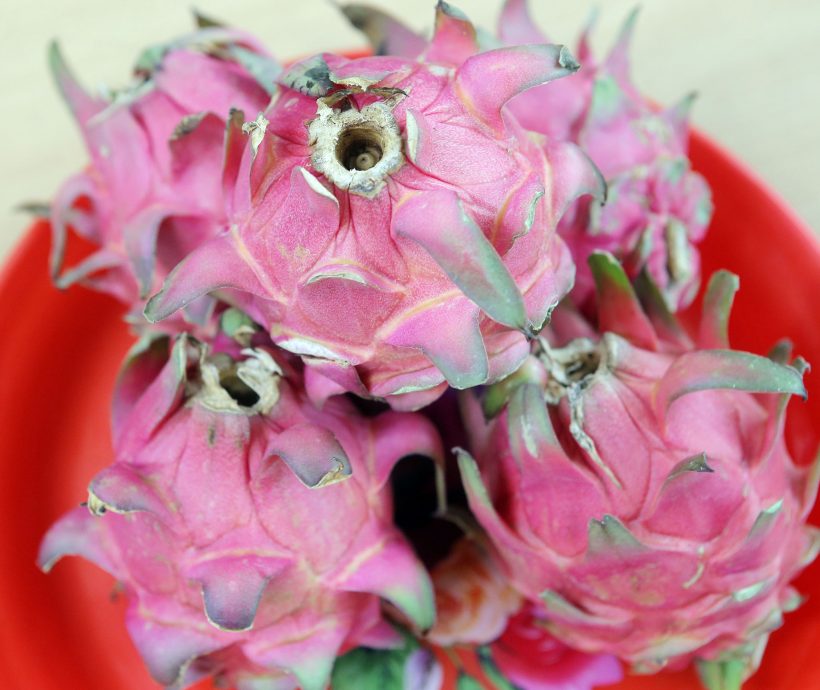 西瓜蜜瓜丰收跌价 菜市持续低迷