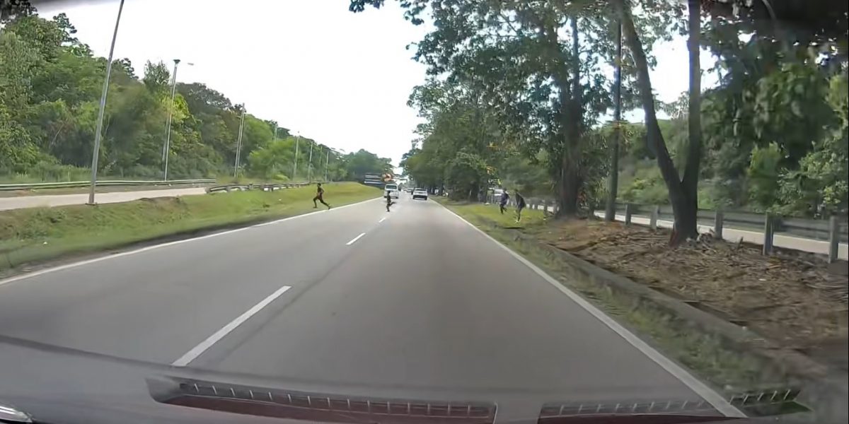 视频|“撞上去就如打保龄球” 数童嬉闹突冲出大道吓坏女司机