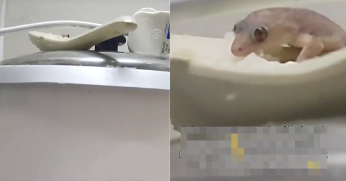 视频|“饭勺别放锅上！” 厨房小习惯招惹“不速之客”