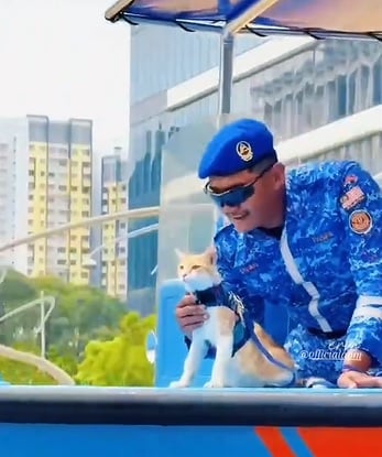 视频|从Oyen猫到爱国小男孩 国庆游行彩排画面好暖心