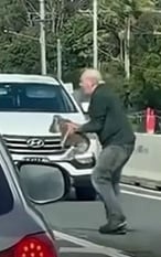 视频|澳无尾熊乱闯繁忙车道 82岁翁救出还“严厉训话”