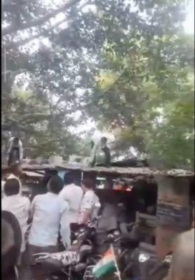 视频|猴子抢钱后扮“罗宾汉” 爬树撒钞票引路人疯抢