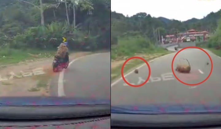 视频|看手机撞车被女司机追 榴梿撒满地不敢捡逃逸