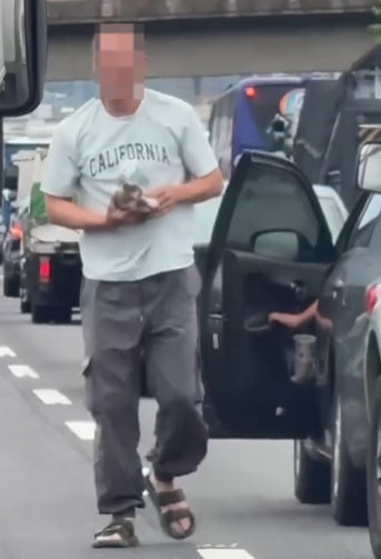 视频|趴车底找贵重东西? 男子车龙中救出小猫咪