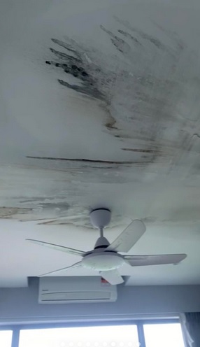 触动火警致民宿被淹漏液逃 业者求中国大使揪武汉租客