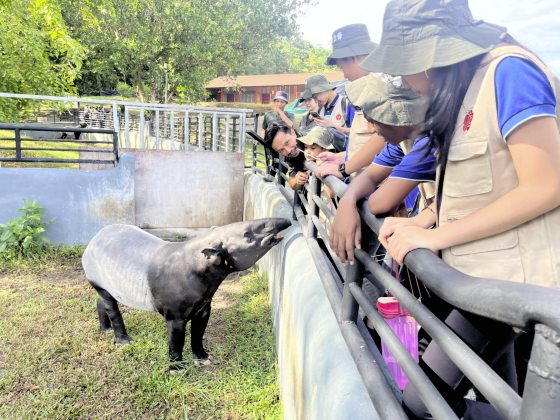 记锺嘉怡/野生动保局的小小巡护员
