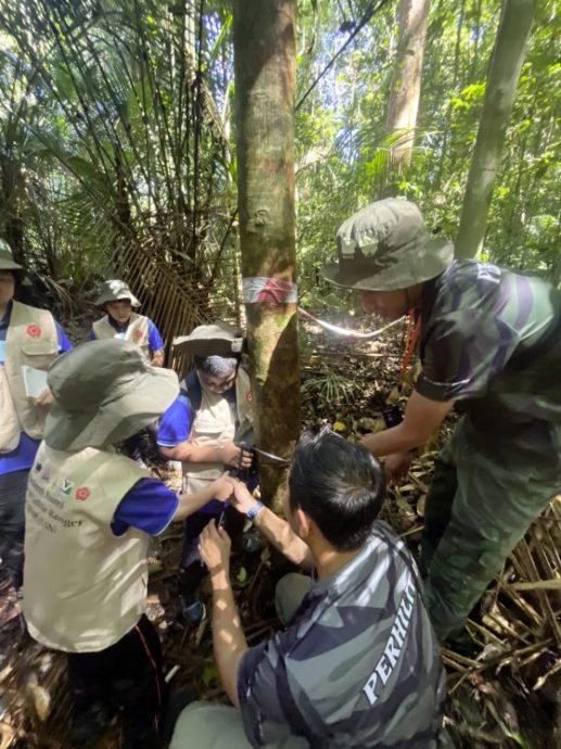 记锺嘉怡/野生动保局的小小巡护员