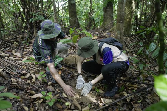 记锺嘉怡/野生动保局的小小巡护员