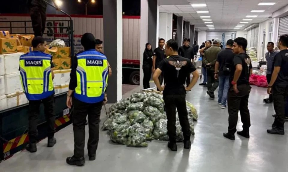 请签发（大北马）大马边境管制及保护机构（AKPS）展开取缔行动