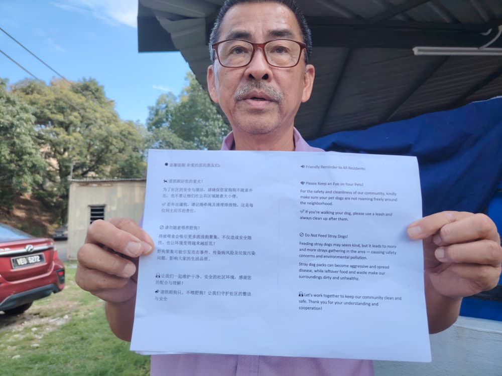 请签发-大都会/野狗成群闯老人院偷食物嘶咬沙发 追咬摩托骑士图攻击小孩 快递员也喊怕怕 不敢接订单送食物上门/多图(选下)