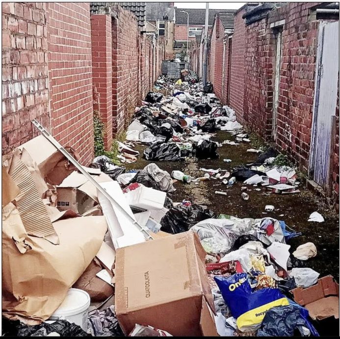 财政紧缩减少收集垃圾 英国2小镇爆鼠患 体型大如家猫!