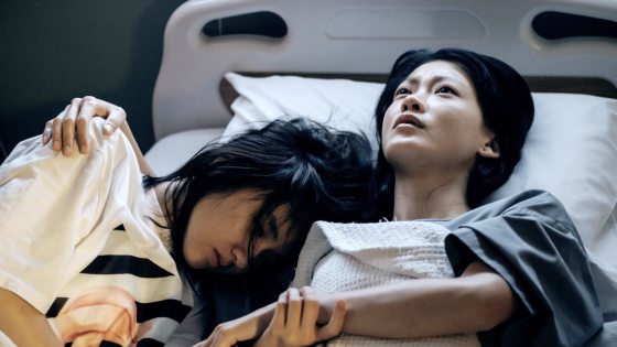 费比安/《摇篮凡世》戴胜鸟叼着脐带时,我们看见了什么? ↑ 费比安 2