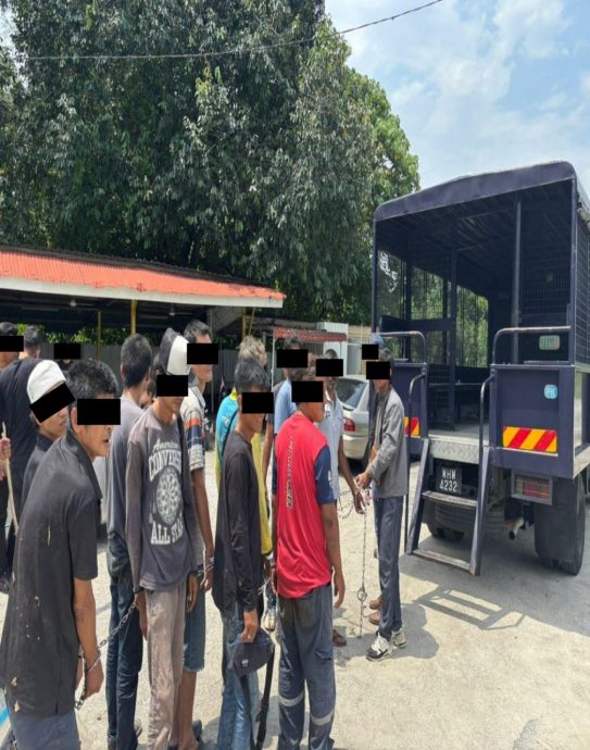 起获逾25万令吉毒品 霹警特别行动3天捕546人