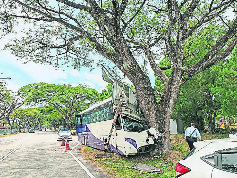 载师生旅巴撞路牌大树致4伤 警:司机打瞌睡