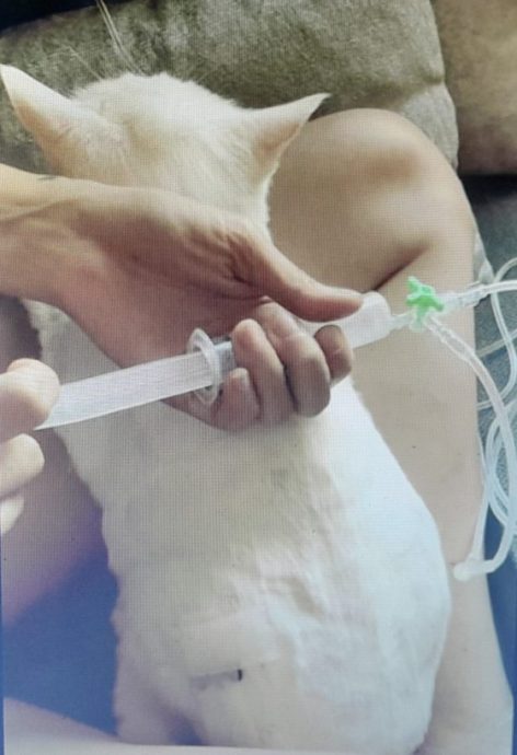 迪兰/奥客。傲慢。Ultraman