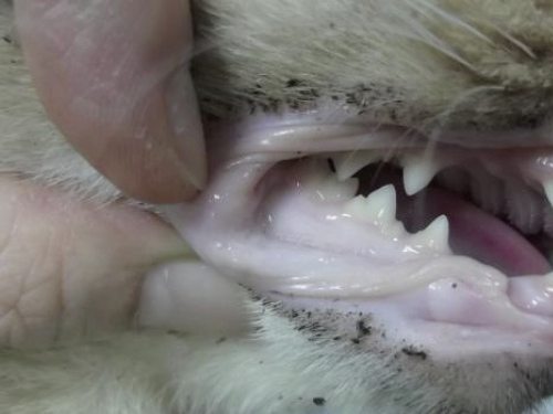 迪兰／曾经的定情信物