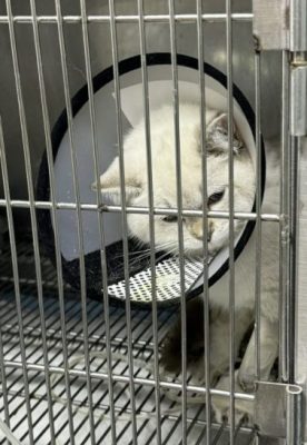 迪兰／曾经的定情信物