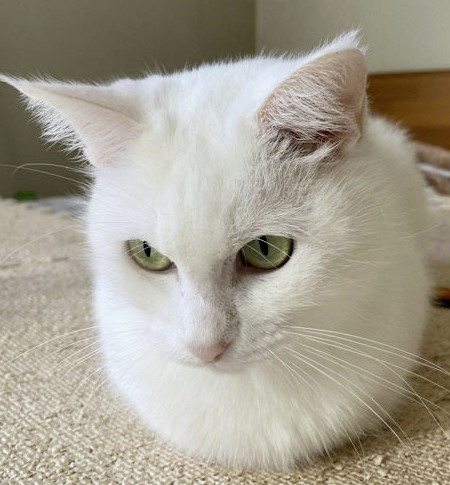 迪兰／曾经的定情信物