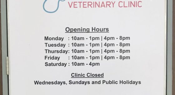 迪兰／贾森养狗看诊初体验