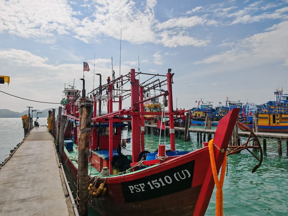 邦咯成霹江鱼仔捕获量最高地区 达2844吨 产值逾4267万